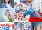 "Specjalista ds. Zarządzania Produkcją W Zakładzie Drobiarskim Kutno"