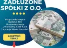 Skup Zadłużonych Spółek i JDG /Antywindykacja Uwalniamy z 299 K.s.h, Licytacje Nieruchomości