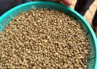 Kawa zielona – niepalona, Robusta 100% (Wietnam)