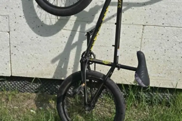 rower bmx