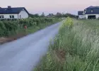 Działka rolno - budowlana na sprzedaż - Mokronos Dolny 