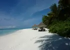 Wspolny wyjazd
