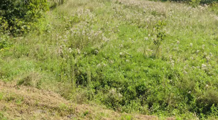 Sprzedam atrakcyjną działkę budowlaną