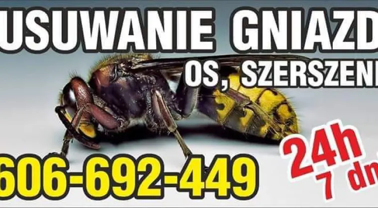 Osy Szerszenie- usuwanie likwidacja gniazd os szerszeni (śląskie 24/7)