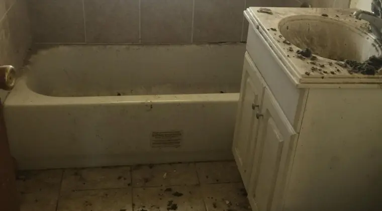 SPRZEDAM  DOM  Z  GARAZEM wolno stojącym ( CEGLA-solidne fundamenty do REMONTU)