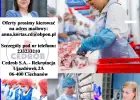 Automatyk w Dziale Wdrożeń i Utrzymania Ruchu (M/K) Ujazdówek Zakład Mięsa Drobiowego w Ujazdówku