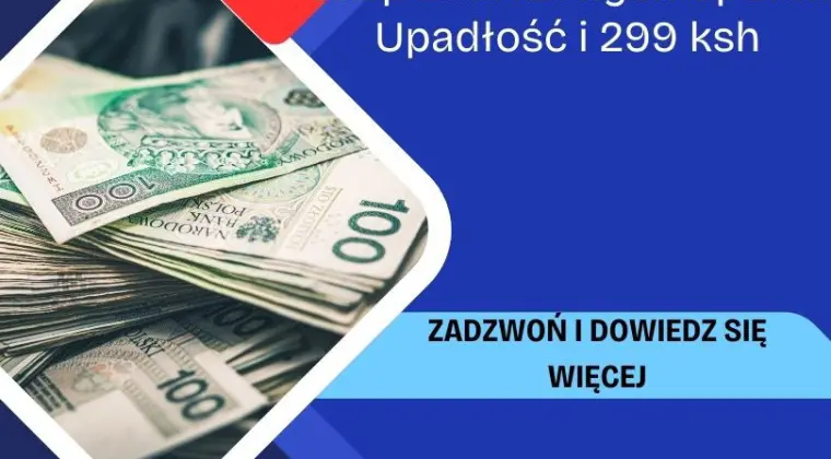 Skup Spółek w Upadłości i Zadłużonych