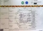 Reproduktor rasy GOŃCZY POLSKI tropiciel zaprasza rodowodowe suczki