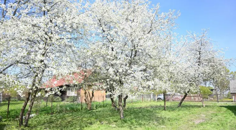 Działka - Siedlisko 220km od Warszawy 4tyś m2 w sercu Podlasia 4000m2