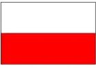 Polak-Docieplenia Budynków-Prace Ogólnobudowlane -Inne Prace