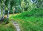 Sprzedam działkę warmińsko-mazurskie Mam do sprzedania
