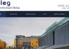 Strona internetowa z domeną