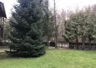 Dom przy lesie z niskimi kosztami utrzymania, obniżona cena