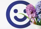 Zapraszamy na zawodowy kierunek - Florysta w Krakowie