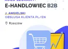 E-Handlowiec (Account Manager)