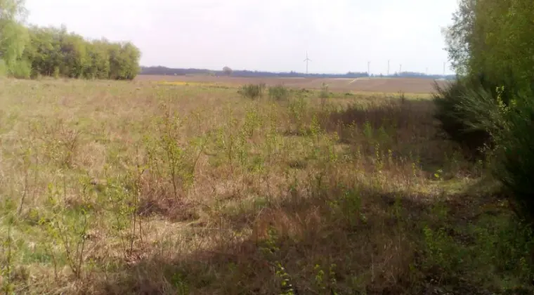 Działka budowlana Słupsk - Bolesławice / Kobylnica od 1200 do 1400 m2