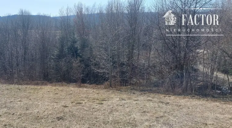 Działka budowlano-rolna 18,46 ara – Bieśnik, gm. Łużna, 1184S/2026