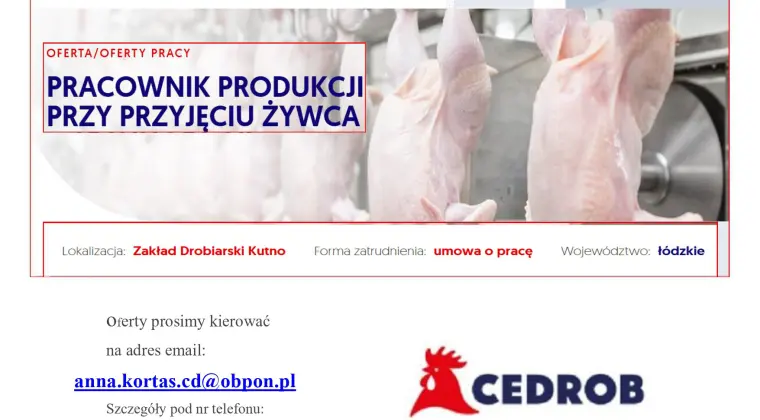 Pracownik produkcji przy przyjęciu żywca Kutno