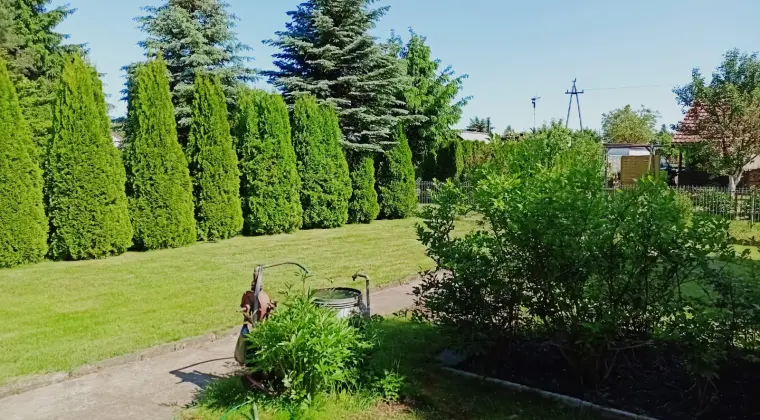 Działkę ROD Rybnica sprzedam