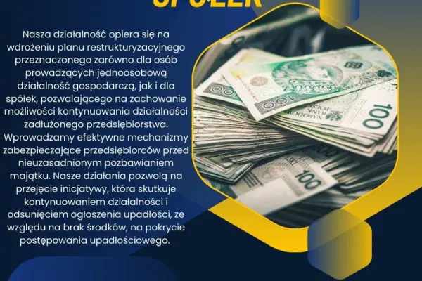 Skup Spółek Zadłużonych / Działalność Gospodarcza ?