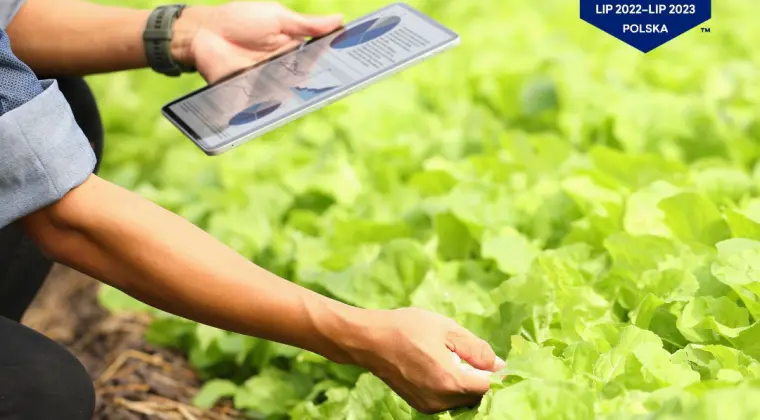 Doradca Techniczno-Handlowy rolnictwo / gospodarstwo