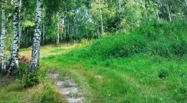 Sprzedam działkę warmińsko-mazurskie Mam do sprzedania