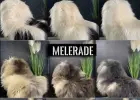 A wide selection of soft and high quality sheepskins. Purely natural and 100% BIO.