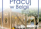 Cieśla konstrukcyjny, Stolarz budowlany - BELGIA