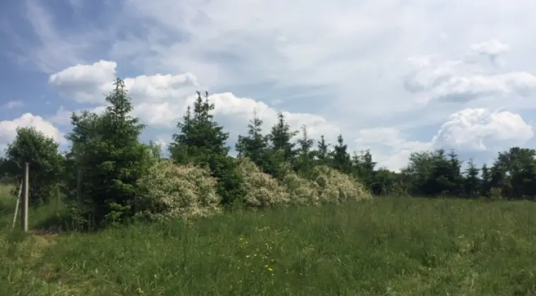 sprzedam ogrodzoną działkę o powierzchni 20,5 a ; nad Jeziorem Klimkowskim