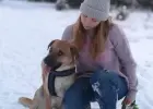 Cudowny, domowy Bąbel szuka kochającego domu!