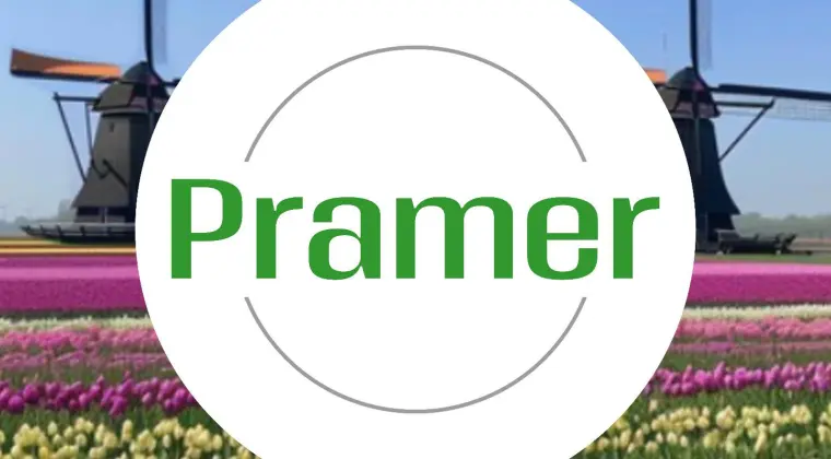 Pracownik produkcji i renowacji palet (brak wymagań)