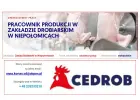 Pracownik produkcji w Zakładzie Drobiarskim w Niepołomicach