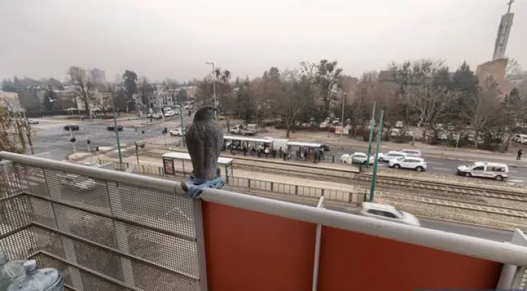 5163-Mieszkanie w atrakcyjnej lokalizacji