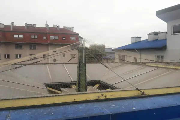 ochrona przed ptakami kolce na ptaki sprzedaż montaż Bydgoszcz