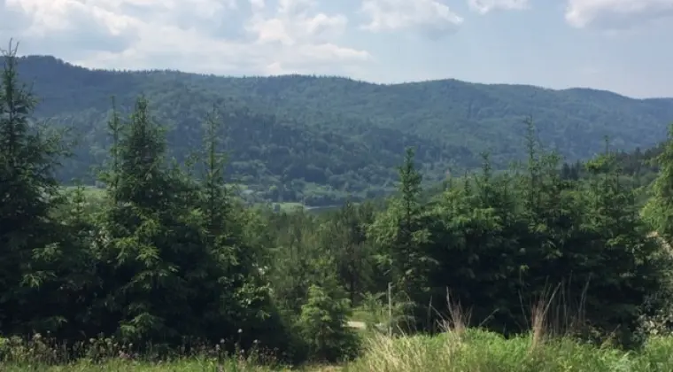 sprzedam ogrodzoną działkę o powierzchni 20,5 a ; nad Jeziorem Klimkowskim