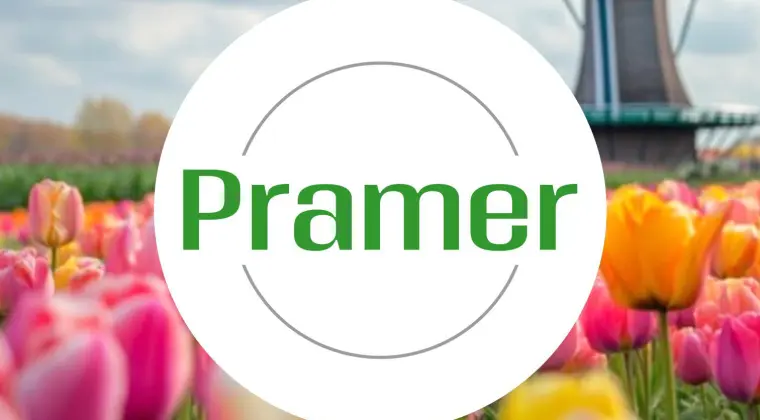 Pracownik sprzątania hali produkcyjnej - praca w Holandii