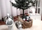 mini choinki formowane