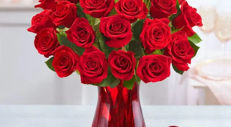 Ok, oto cala prawda o dziewczynie ktorej szukam. 