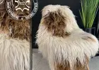 A wide selection of soft and high quality sheepskins. Purely natural and 100% BIO.