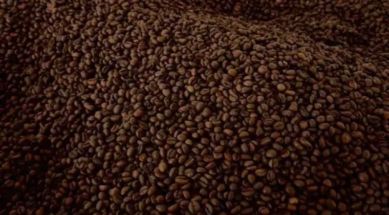 Kawa palona ziarnista 100% Arabica (Brazylia)