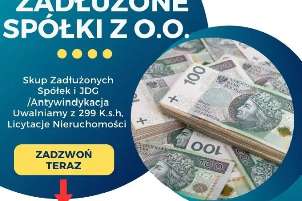 Skup Zadłużonych Spółek i JDG /Antywindykacja Uwalniamy z 299 K.s.h, Licytacje Nieruchomości