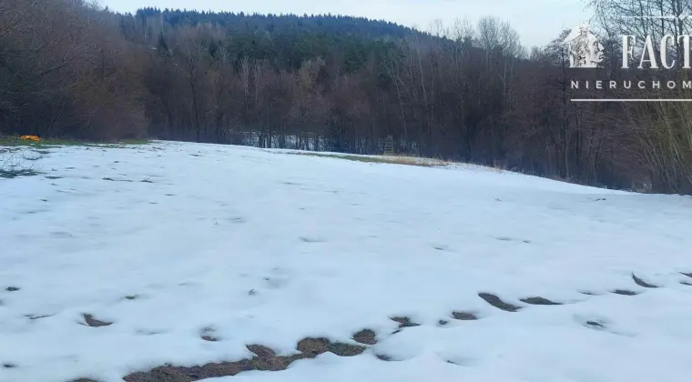 Siary działka budowlana 0,92 ha 1177S