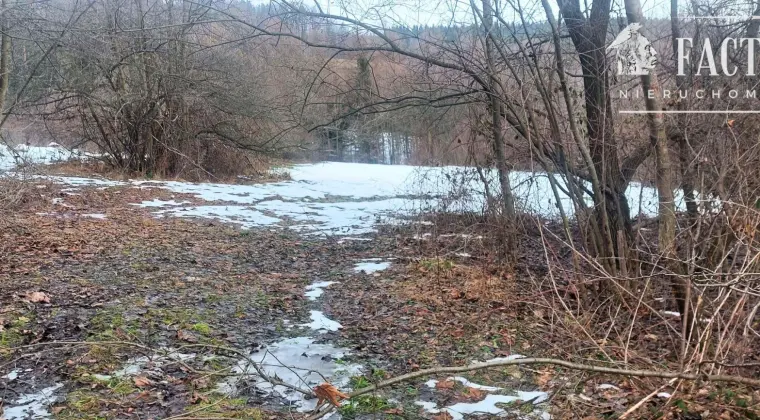 Siary działka budowlana 0,92 ha 1177S