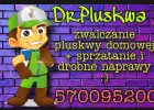 Dezynsekcja