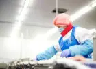 PRACOWNIK PRODUKCJI - KUTNO