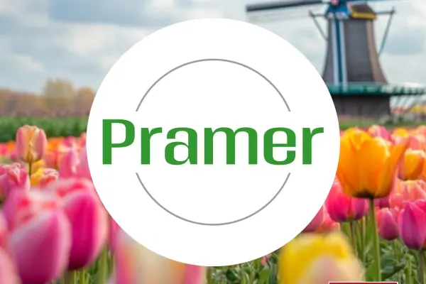 Operator maszyn na produkcji dywanów (Nijverdal) - praca w Holandii