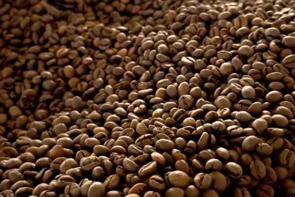 Kawa palona ziarnista - 70% Robusta, 30% Arabica, SC 16+ | Maranello Coffee
