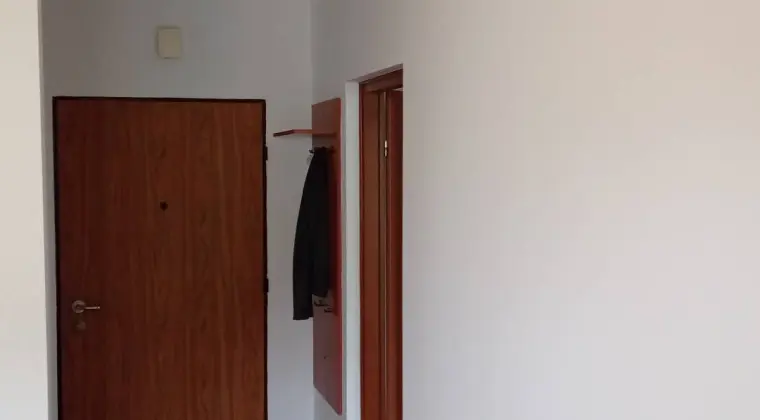Malarz szpachlarz gładzie doświadczenie nawiąże współpracę 