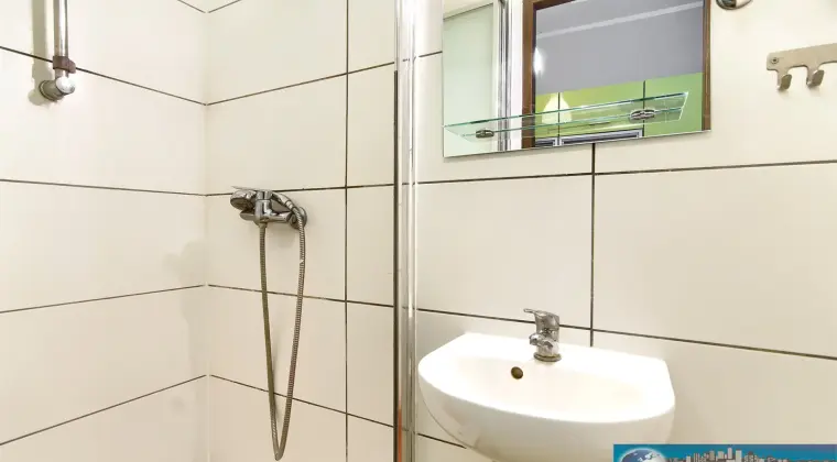 POZNAŃ, CENTRUM, BUKOWSKA | MIESZKANIE NA WYNAJEM