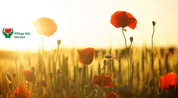 OKOLICE DUSSELDORF-PRACA